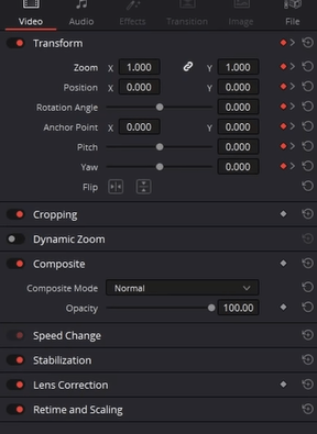 Davinci Inspector Menu
