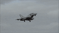 TYPHOON